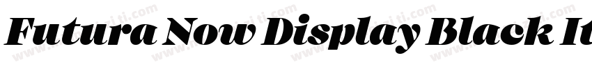 Futura Now Display Black Italic字体转换